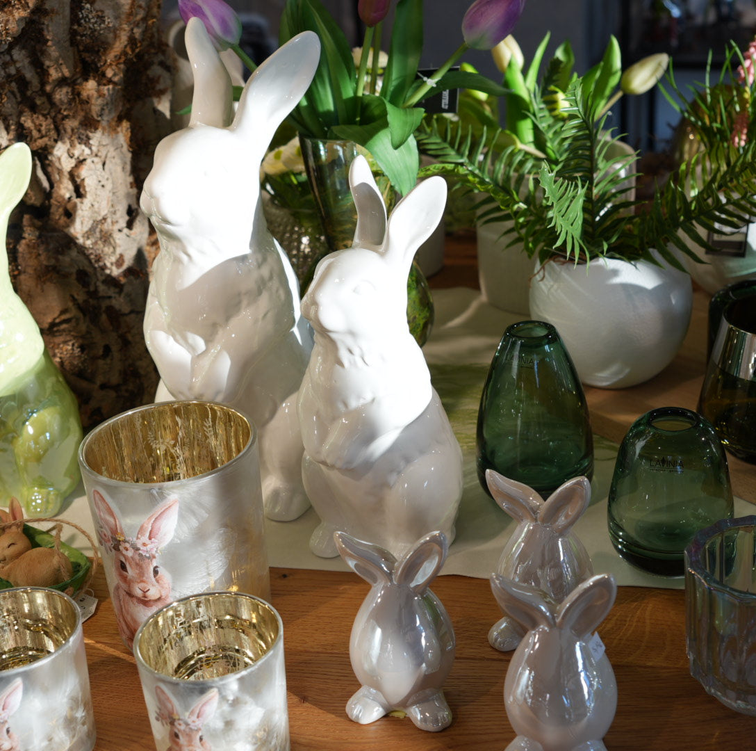 Hase „Ohrfuß“