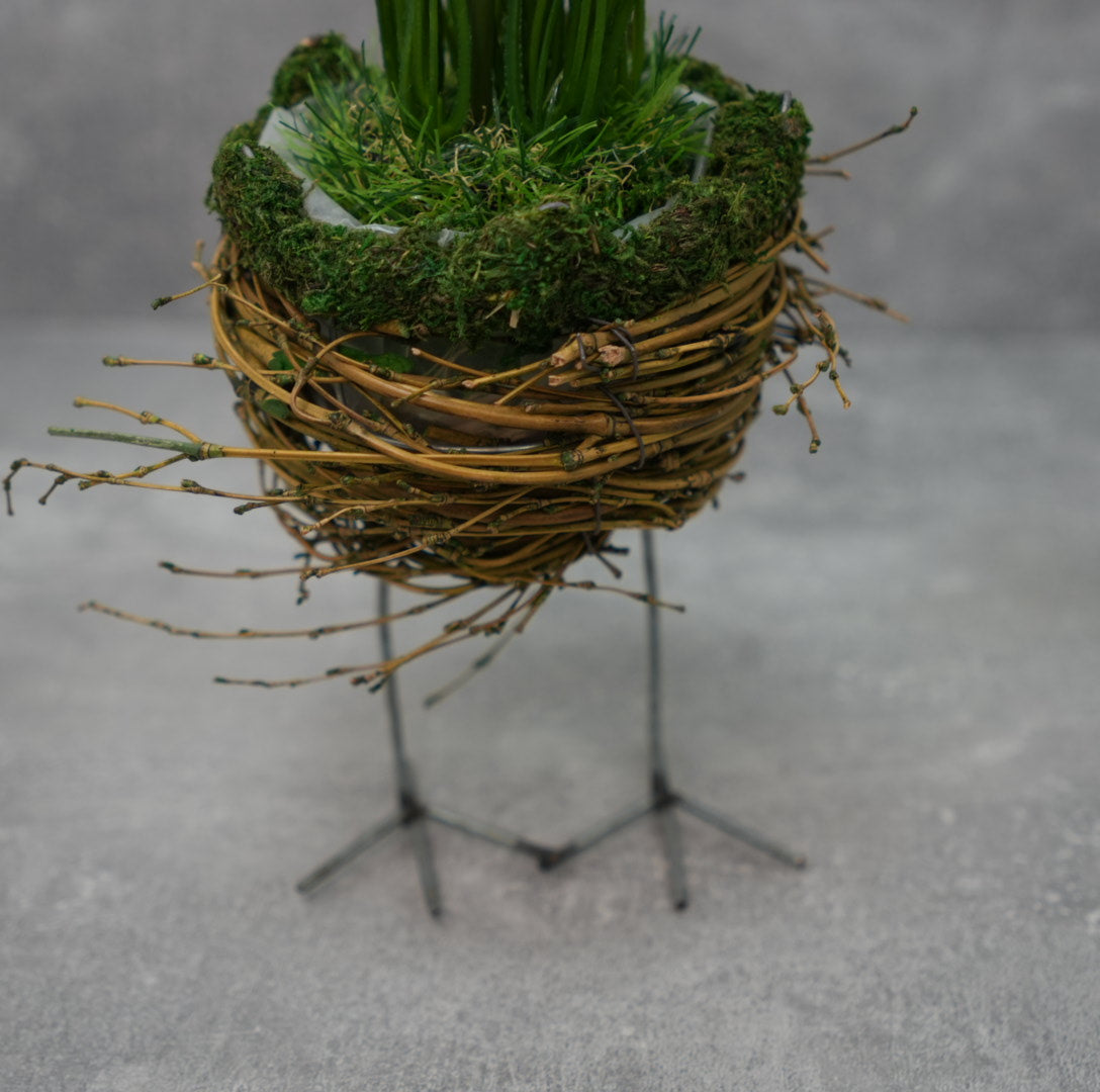 Nest auf Füßen