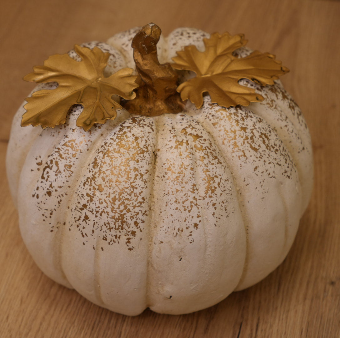 Kürbis „weiß-Gold“