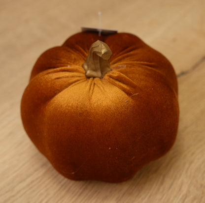 Kürbis (M) „Pumpa“