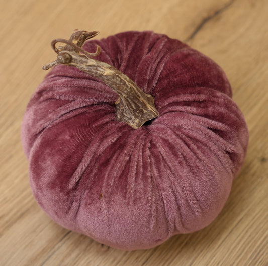 Kürbis „Hanni“