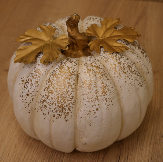 Kürbis „weiß-Gold“