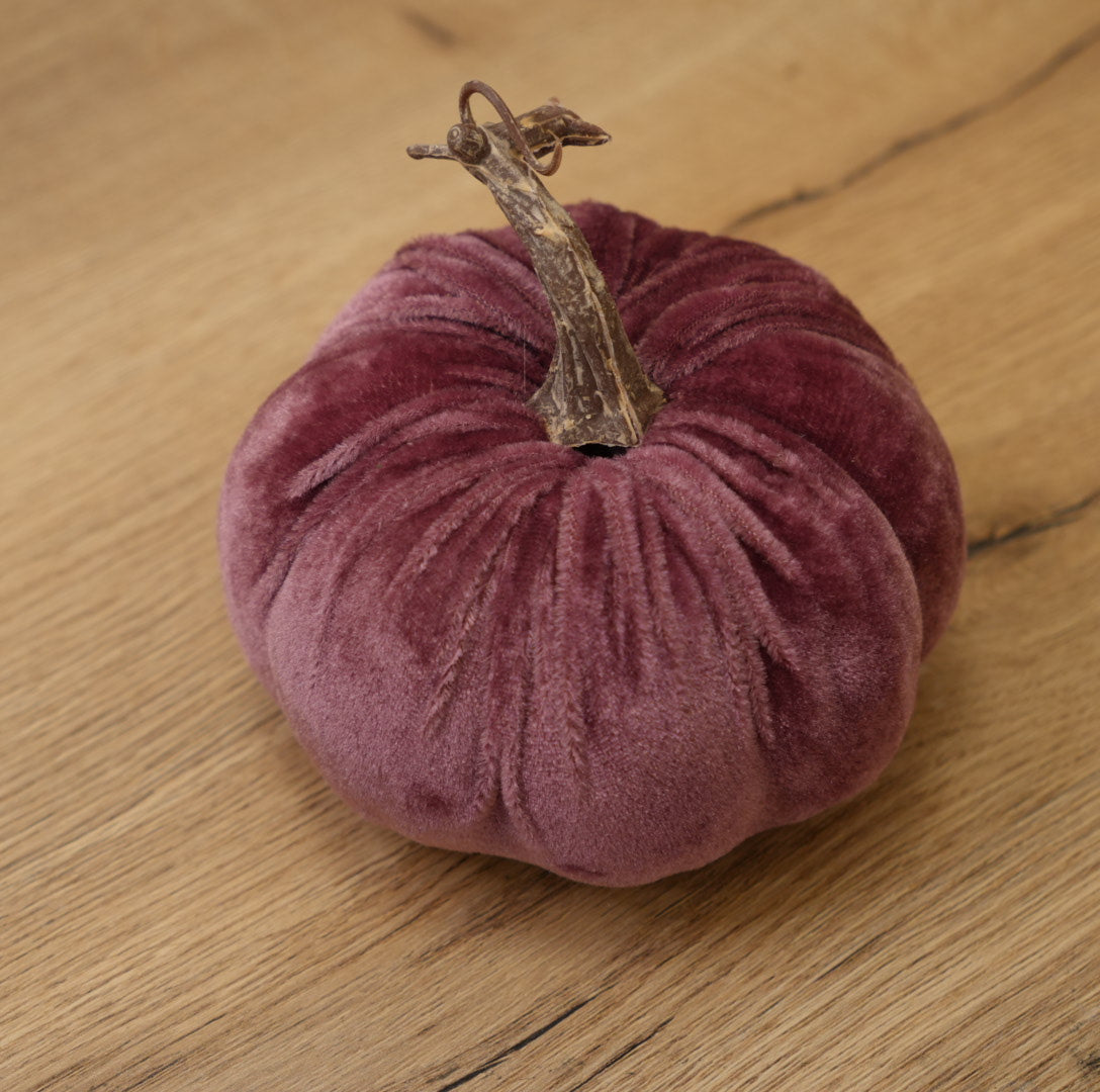 Kürbis „Hanni“