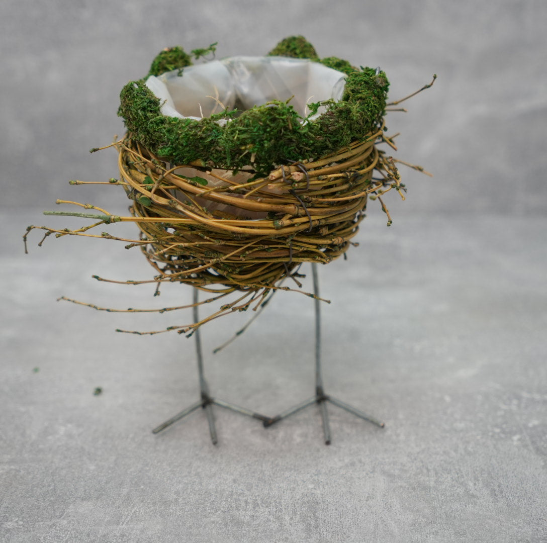 Nest auf Füßen
