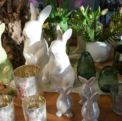 Hase „Ohrfuß“