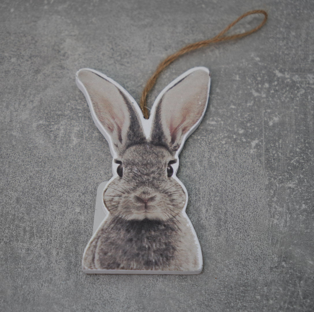 Hase zum hängen