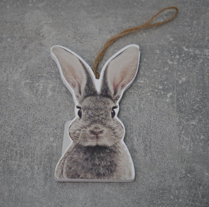 Hase zum hängen