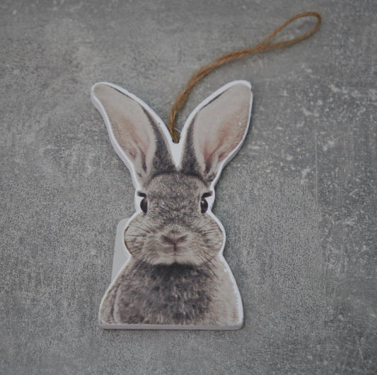 Hase zum hängen