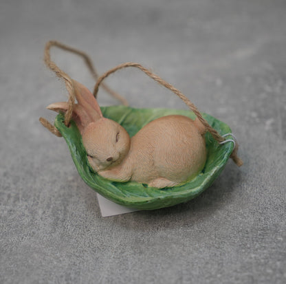 „Hasi“ im Winterschlaf