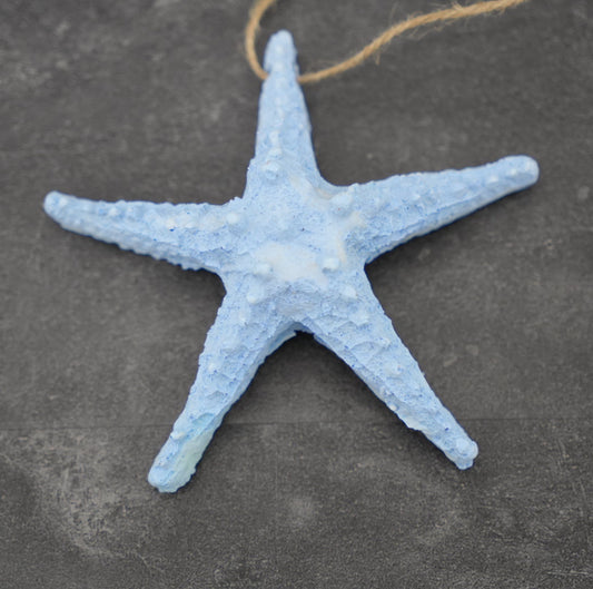 Seestern poly-blau