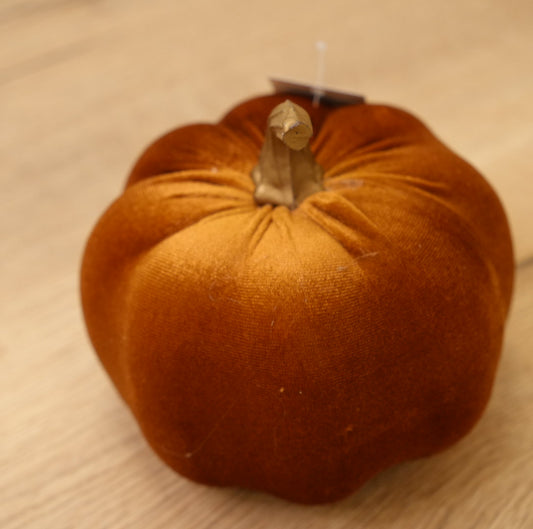 Kürbis (M) „Pumpa“