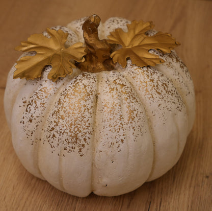 Kürbis „weiß-Gold“
